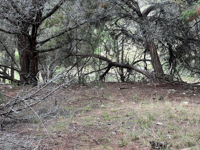 19906 CONSTITUTION CV, Lago Vista, TX 78645