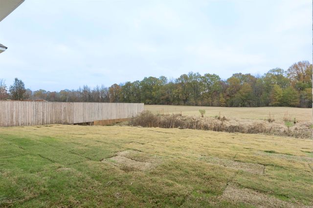 11 River Cliff Drive, Mayflower, AR 72106