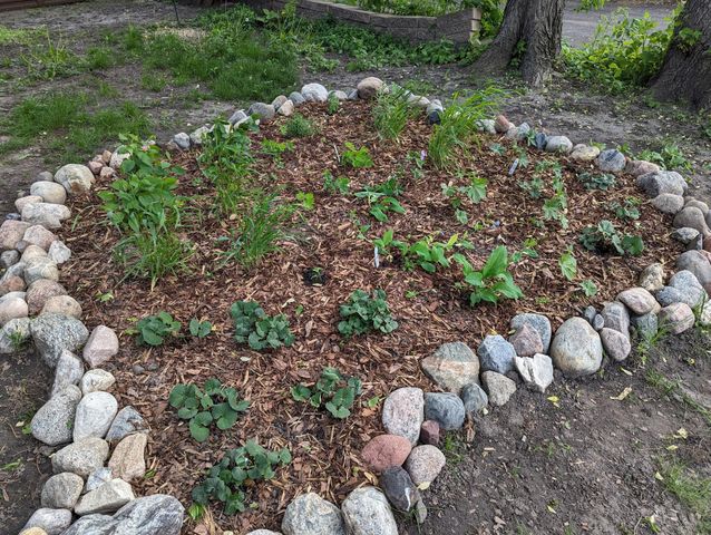 1415 14th Avenue N, Minneapolis, MN 55411