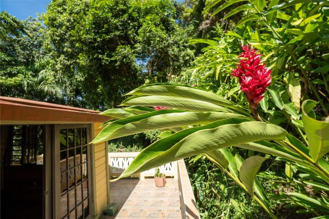 2 REVERENDO DOMINGO MARRERO NAVARRO 2, Trujillo Alto, PR 00976