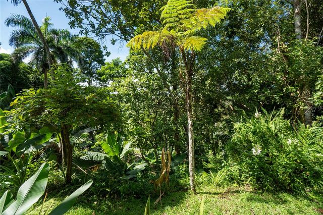 2 REVERENDO DOMINGO MARRERO NAVARRO 2, Trujillo Alto, PR 00976