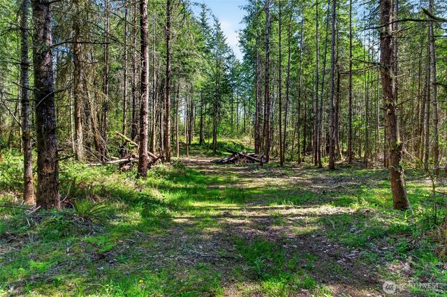 28461 Mountain Hwy E, Graham, WA 98338