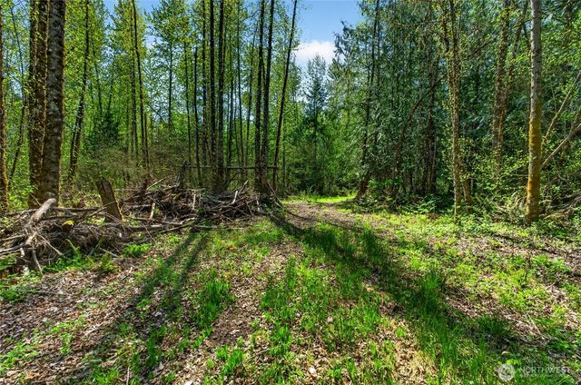 28461 Mountain Hwy E, Graham, WA 98338