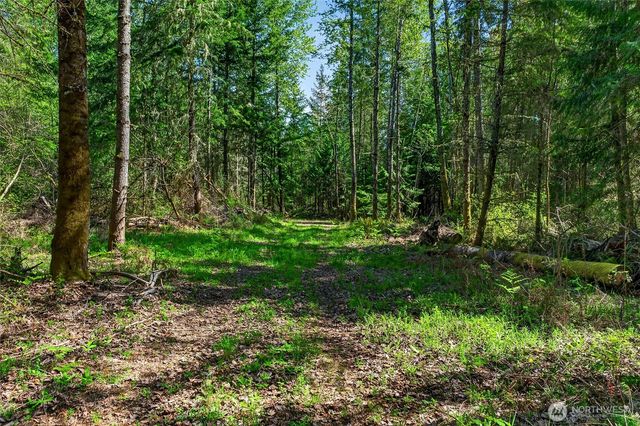 28461 Mountain Hwy E, Graham, WA 98338