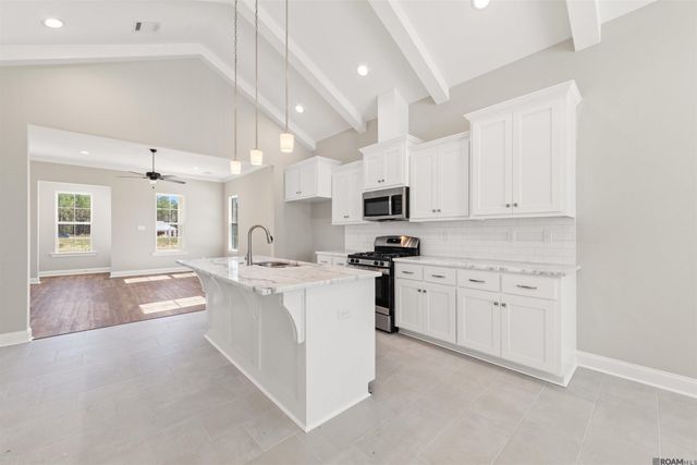 24256 Sharp Shinned Drive, Denham Springs, LA 70726