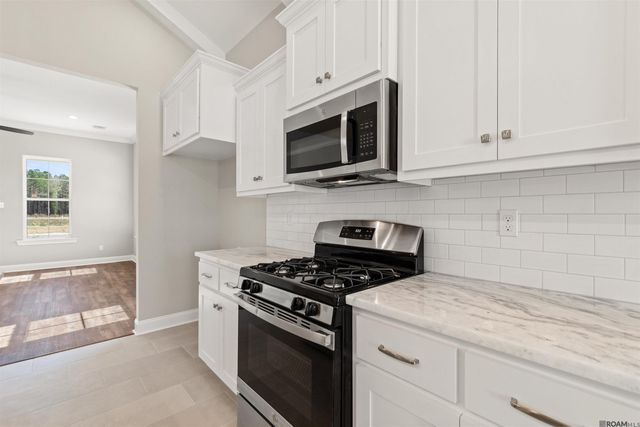 24256 Sharp Shinned Drive, Denham Springs, LA 70726