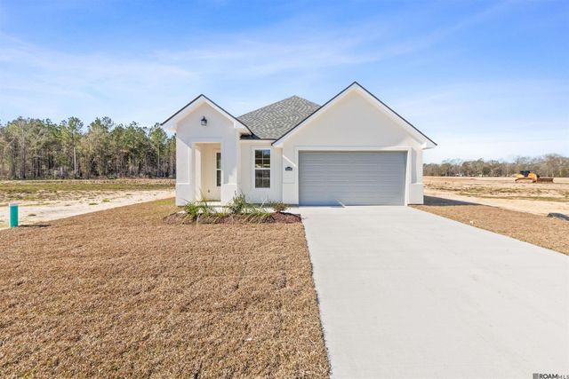 24256 Sharp Shinned Drive, Denham Springs, LA 70726