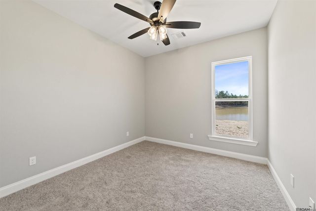 24256 Sharp Shinned Drive, Denham Springs, LA 70726