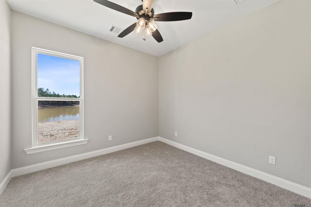 24256 Sharp Shinned Drive, Denham Springs, LA 70726