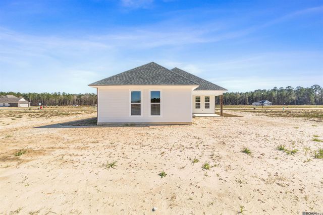 24256 Sharp Shinned Drive, Denham Springs, LA 70726