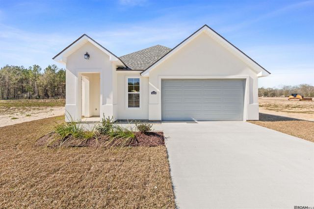 24256 Sharp Shinned Drive, Denham Springs, LA 70726