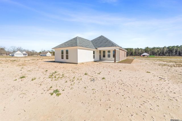 24256 Sharp Shinned Drive, Denham Springs, LA 70726