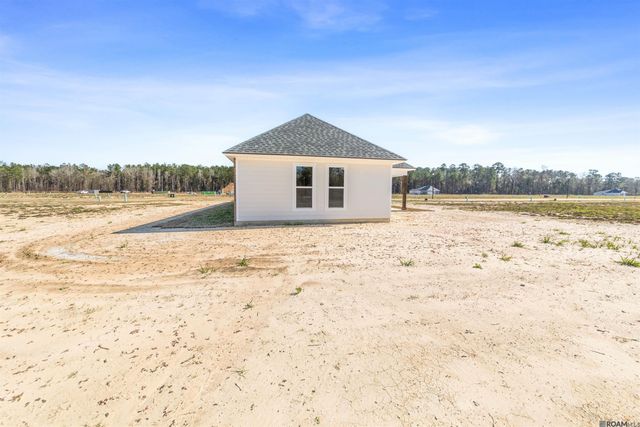 24256 Sharp Shinned Drive, Denham Springs, LA 70726