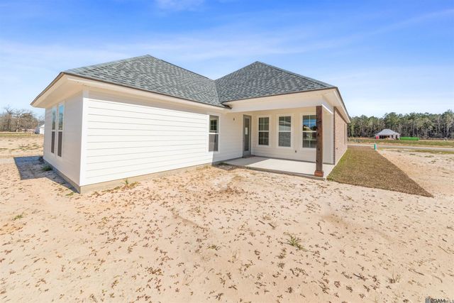 24256 Sharp Shinned Drive, Denham Springs, LA 70726