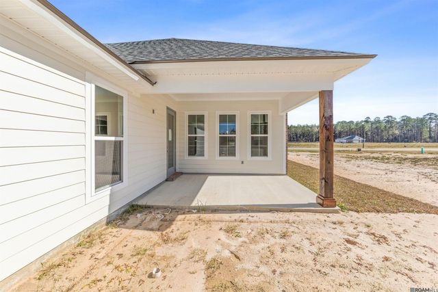 24256 Sharp Shinned Drive, Denham Springs, LA 70726
