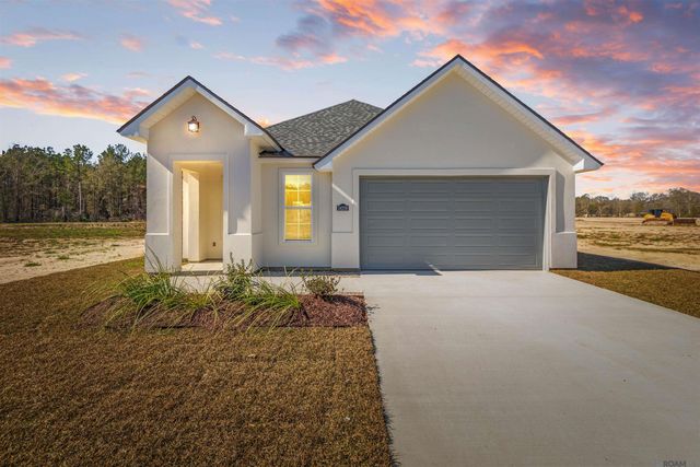 24256 Sharp Shinned Drive, Denham Springs, LA 70726