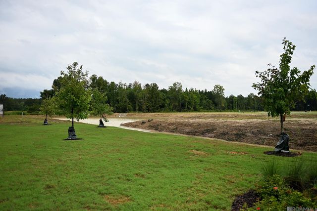 24256 Sharp Shinned Drive, Denham Springs, LA 70726