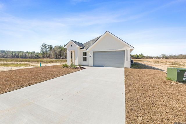 24256 Sharp Shinned Drive, Denham Springs, LA 70726