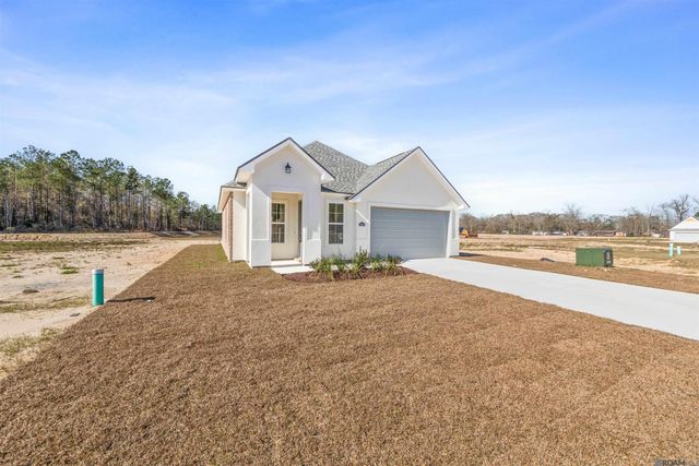 24256 Sharp Shinned Drive, Denham Springs, LA 70726