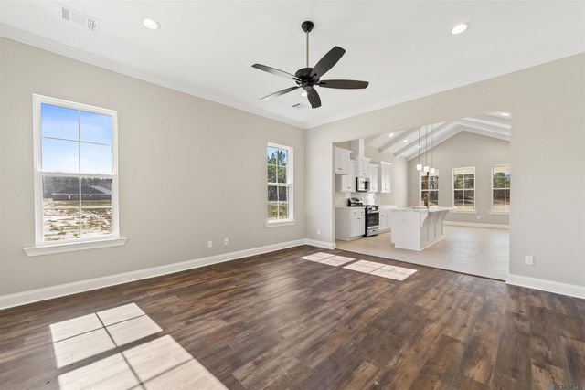 24256 Sharp Shinned Drive, Denham Springs, LA 70726