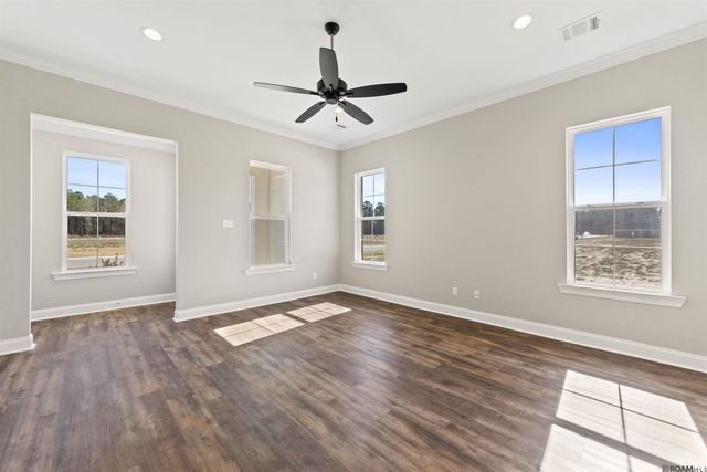 24256 Sharp Shinned Drive, Denham Springs, LA 70726