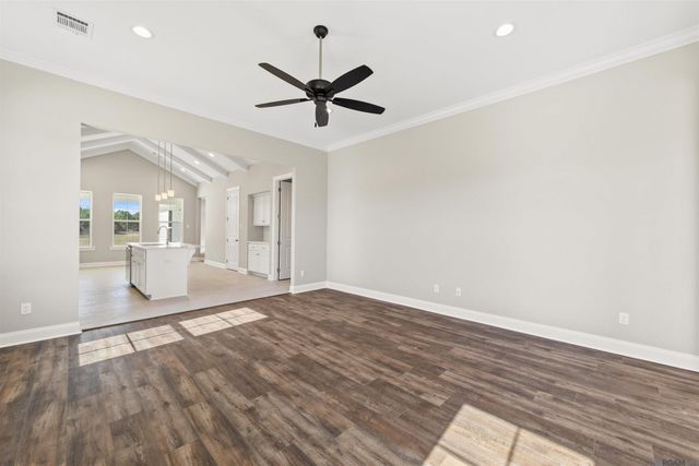 24256 Sharp Shinned Drive, Denham Springs, LA 70726