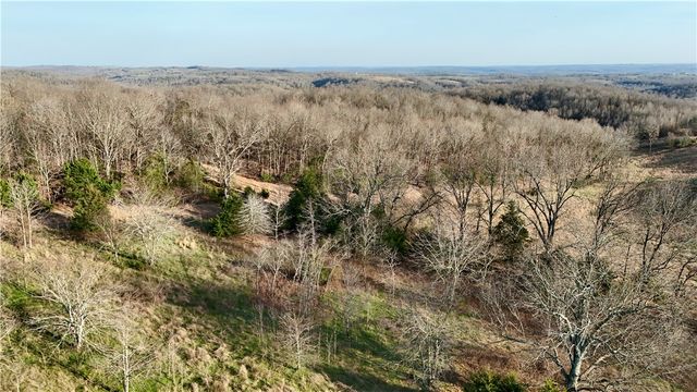 MC 3015 72687 Road, Pyatt, AR 72672