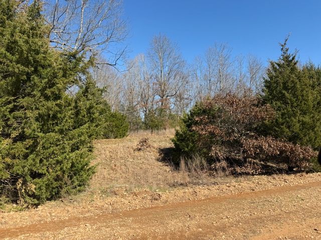 MC 3015 72687 Road, Pyatt, AR 72672