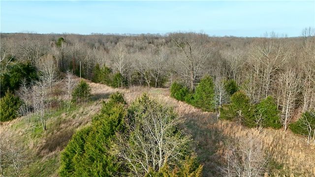 MC 3015 72687 Road, Pyatt, AR 72672