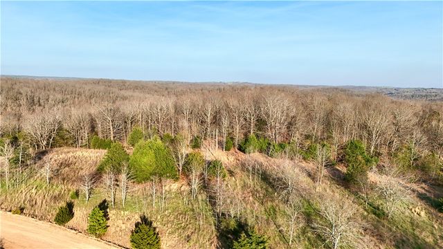 MC 3015 72687 Road, Pyatt, AR 72672