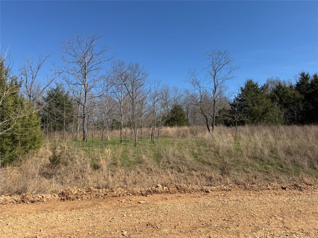 MC 3015 72687 Road, Pyatt, AR 72672