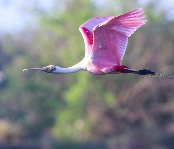 8226 BARTON FARMS BOULEVARD, Sarasota, FL 34240