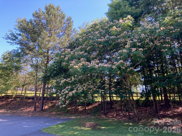 1095 E Prince Road, Landrum, SC 29356