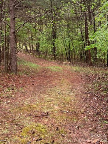 1095 E Prince Road, Landrum, SC 29356