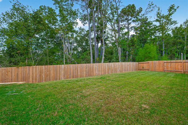 12203 Danza, Willis, TX 77318