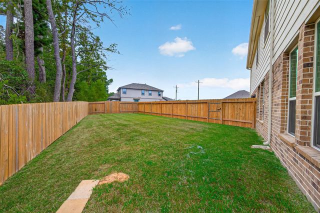 12203 Danza, Willis, TX 77318