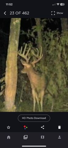 1031 Paradise Camp Road, Harrodsburg, KY 40330