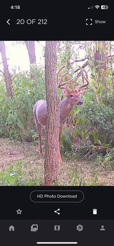 1031 Paradise Camp Road, Harrodsburg, KY 40330