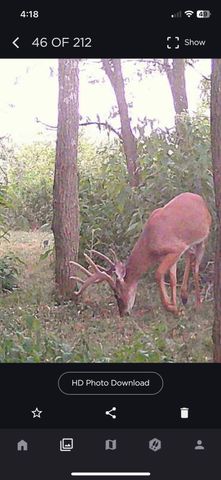 1031 Paradise Camp Road, Harrodsburg, KY 40330