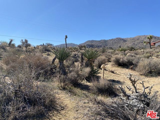 7564 Vista Road, Joshua Tree, CA 92252