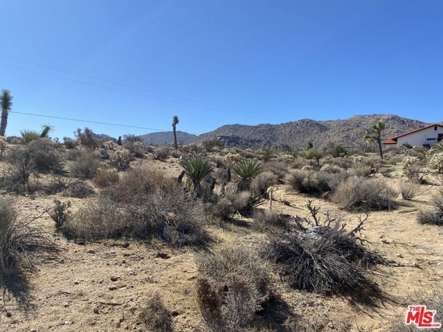 7564 Vista Road, Joshua Tree, CA 92252