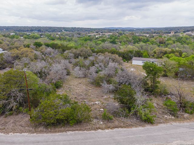 223 BLUFF VIEW DR, Spring Branch, TX 78070