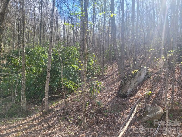 9999 Lytle Cove Road Road, Swannanoa, NC 28778