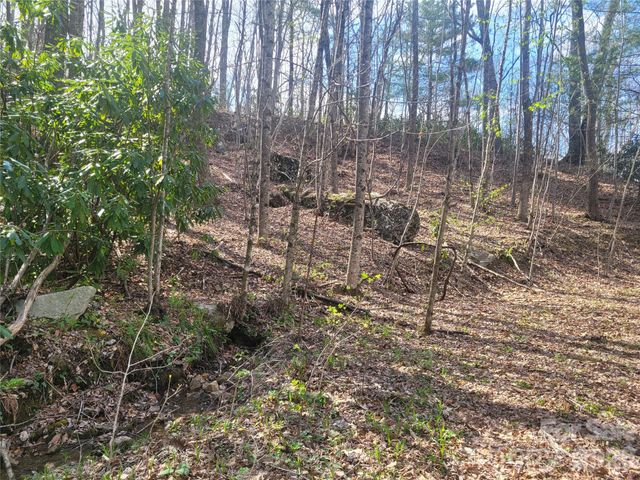 9999 Lytle Cove Road Road, Swannanoa, NC 28778