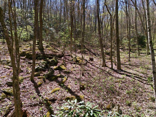 9999 Lytle Cove Road Road, Swannanoa, NC 28778