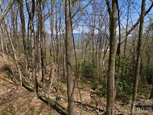 9999 Lytle Cove Road Road, Swannanoa, NC 28778