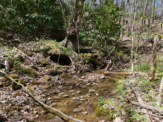 9999 Lytle Cove Road Road, Swannanoa, NC 28778