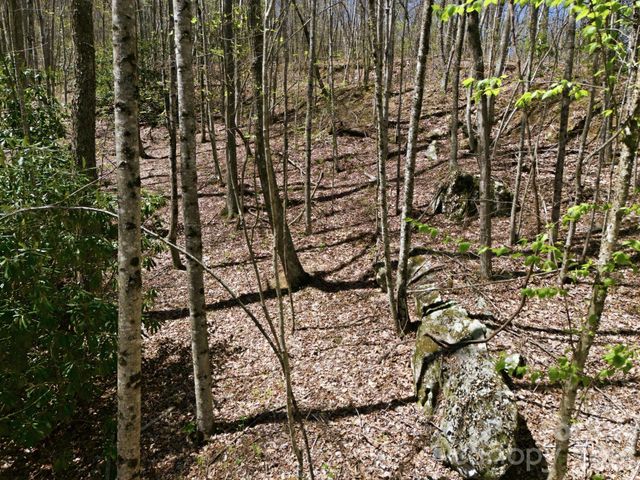 9999 Lytle Cove Road Road, Swannanoa, NC 28778