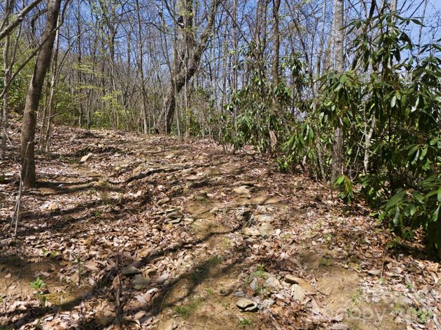 9999 Lytle Cove Road Road, Swannanoa, NC 28778