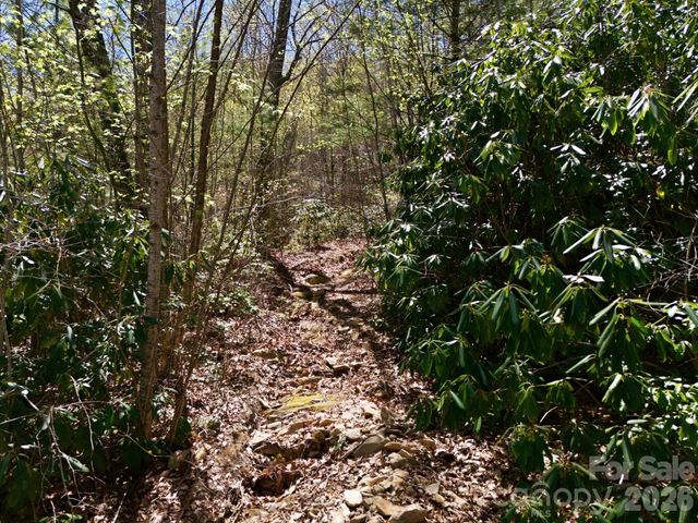9999 Lytle Cove Road Road, Swannanoa, NC 28778